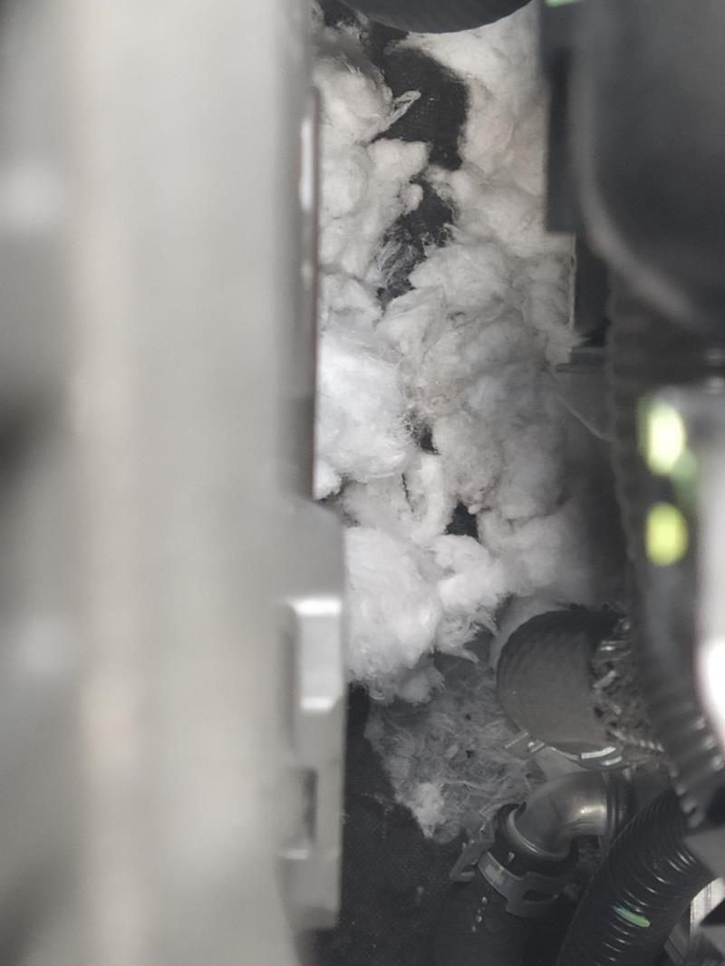 奕泽izoa，的奕泽发动机下面的隔热棉被老鼠咬坏了这有问题吗，如果有要换得多少钱了个位
