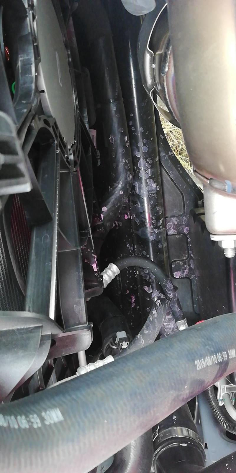 荣威rx5 max，RX5MAⅩ，提车一个月，发现防冻液渗漏，有没有发现这种情况
