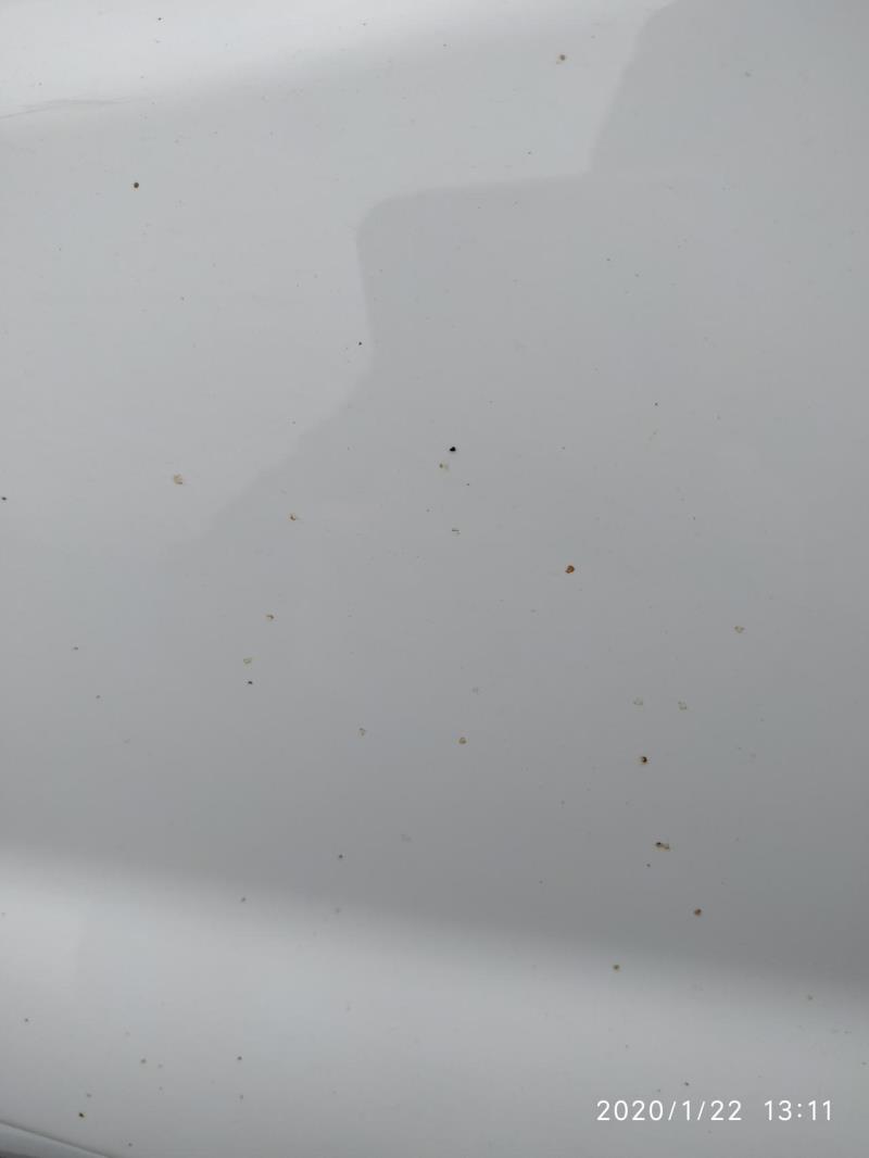 远景x6，车身上的小黄点用什么方法可以擦掉，洗车店也没有好办法啊