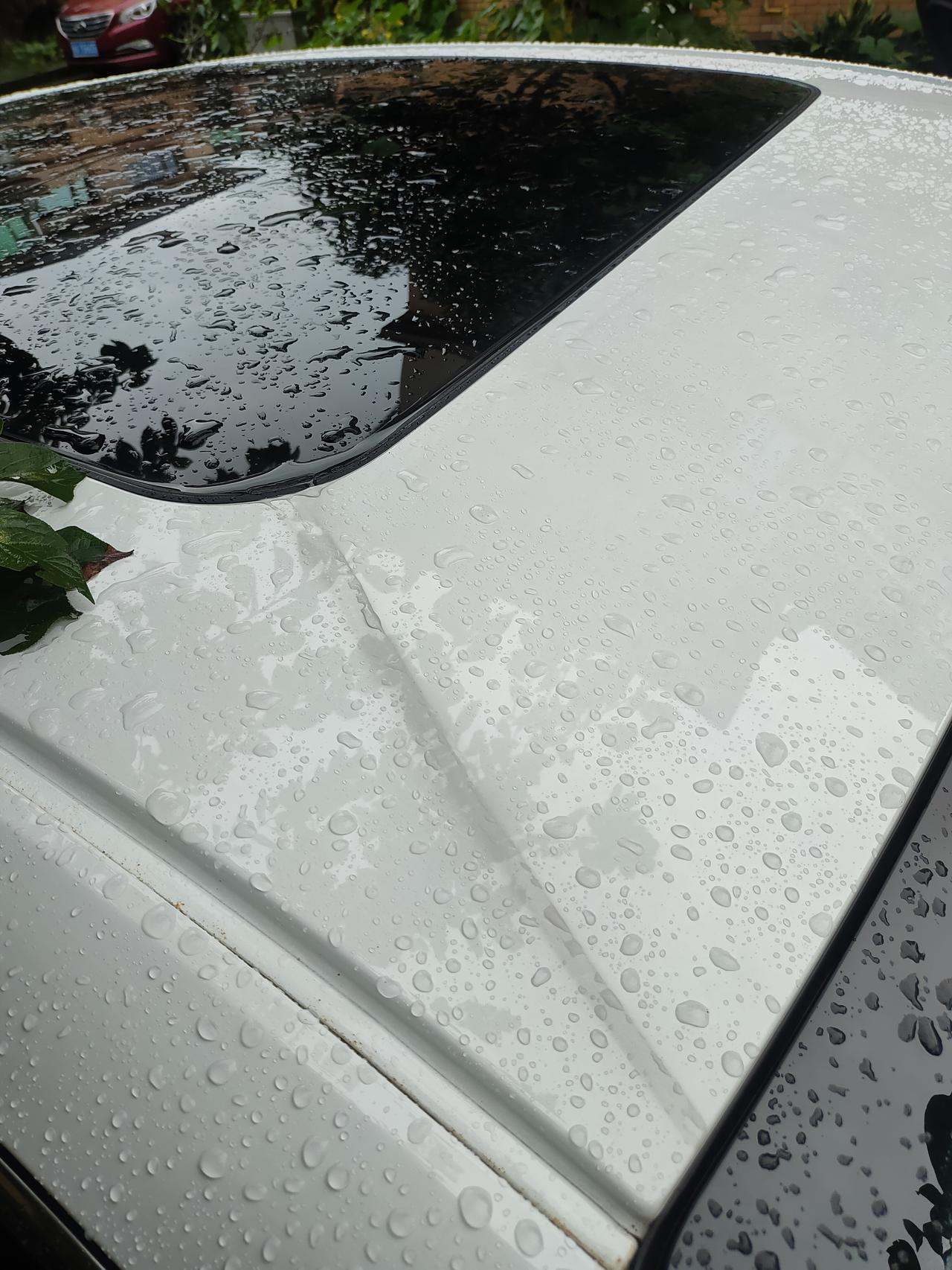 白色星瑞一到下雨天，就会有这样的污渍。特别是车尾和4个门把手，还有车顶，这个还洗不掉，用什么东西可以洗掉，望