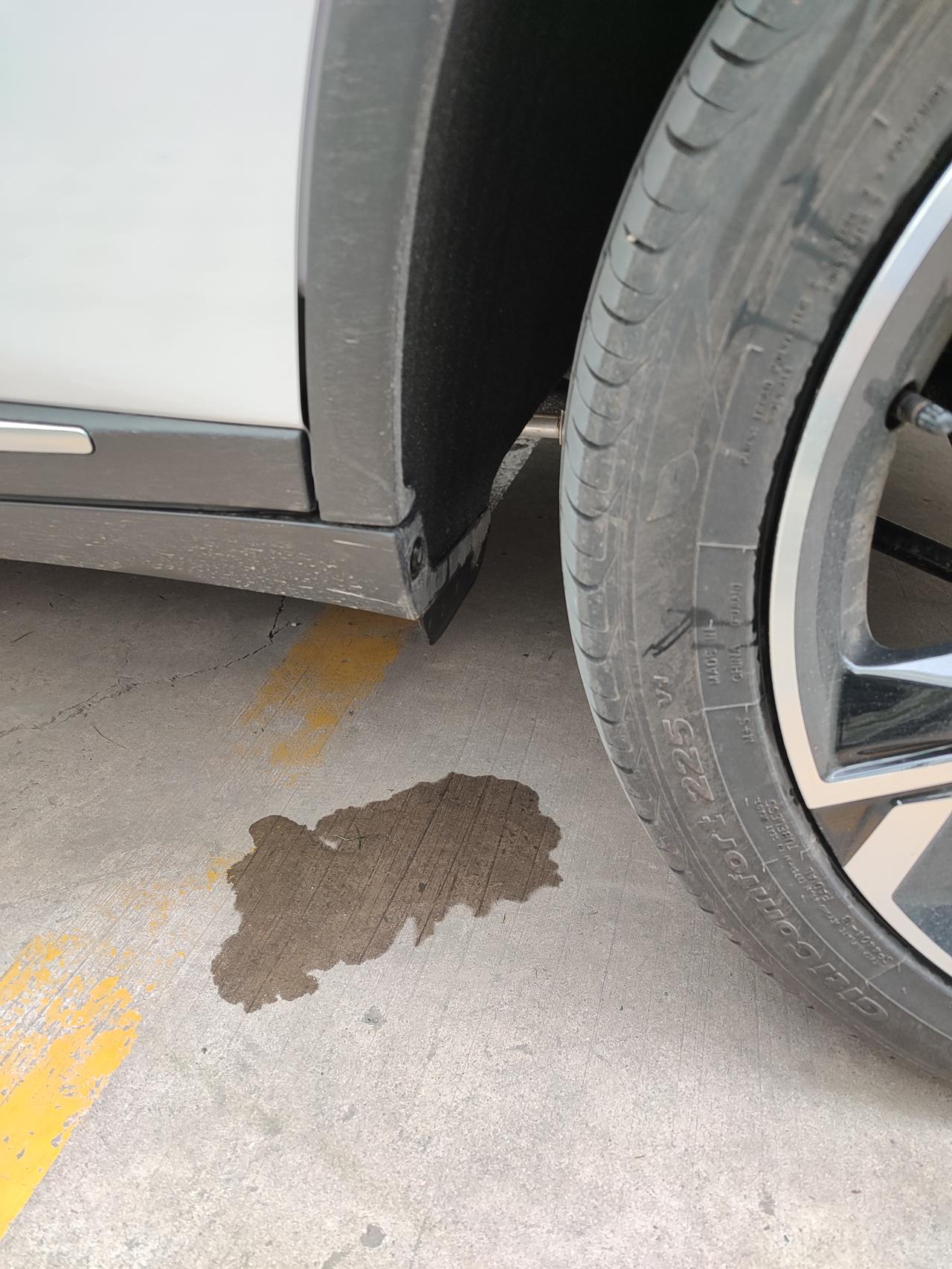比亚迪唐DM 唐dmi停车后，四个轮胎这滴水，正常么？还有车门底部这个堵的黑色橡胶要取掉不