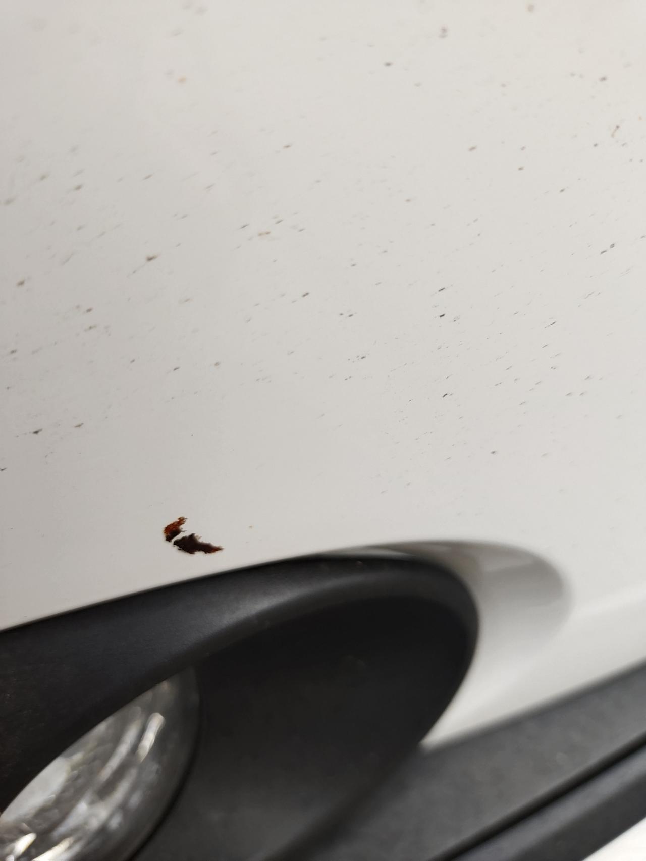 丰田卡罗拉 发现车前脸下边有一个黑色点，好像是掉漆了，这种情况该怎么办？需要去补漆吗