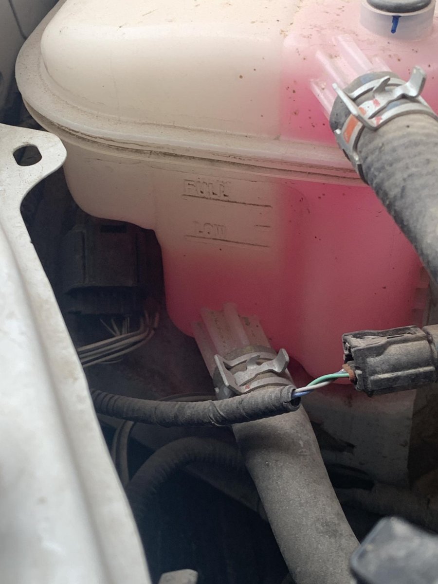 有没有遇见缺防冻液的 3万公里雷凌1.2T燃油 按说丰田车不漏油不漏水质量好不应该缺防冻液的