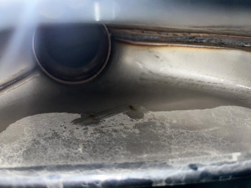 宝马5系  刚提了半个月的530冷车启动排气筒有抖动异响正常吗？像是铁片碰撞的声音 叮叮叮的 还有看了