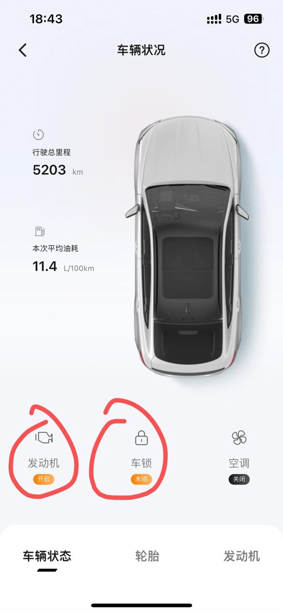 吉利星瑞 车锁好了，app里显示这样，这是什么情况？第一次看到以为没锁好车，去看了一眼，锁着，但app里还是显示这样