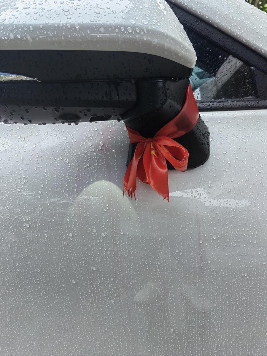 丰田威飒 新提车，下大雨，两耳朵红领巾掉色，轻微染红了车门？怎么去掉呀，用抹布抹不掉，听说红色入漆。