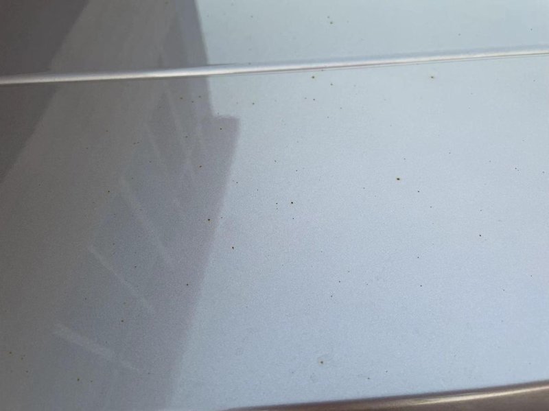 比亚迪海豚 刚提车一个月，发现车顶上有好多生锈的小点，请问各位有没有遇到这个问题？该怎么处理？
