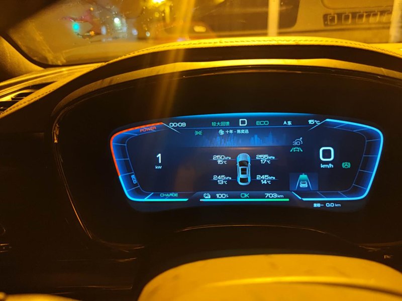 比亚迪汉EV 提车三个月了，在重庆这边，温度没有下过零下，平时电耗基本都在14左右，满电后小里程清零后算的里程，93％的