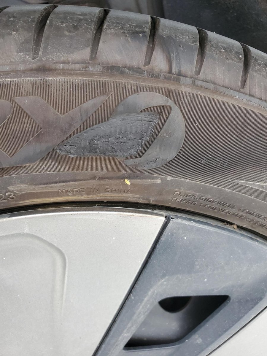 埃安AION Y 轮胎被刮掉一块皮，这种情况下需要换轮胎吗
