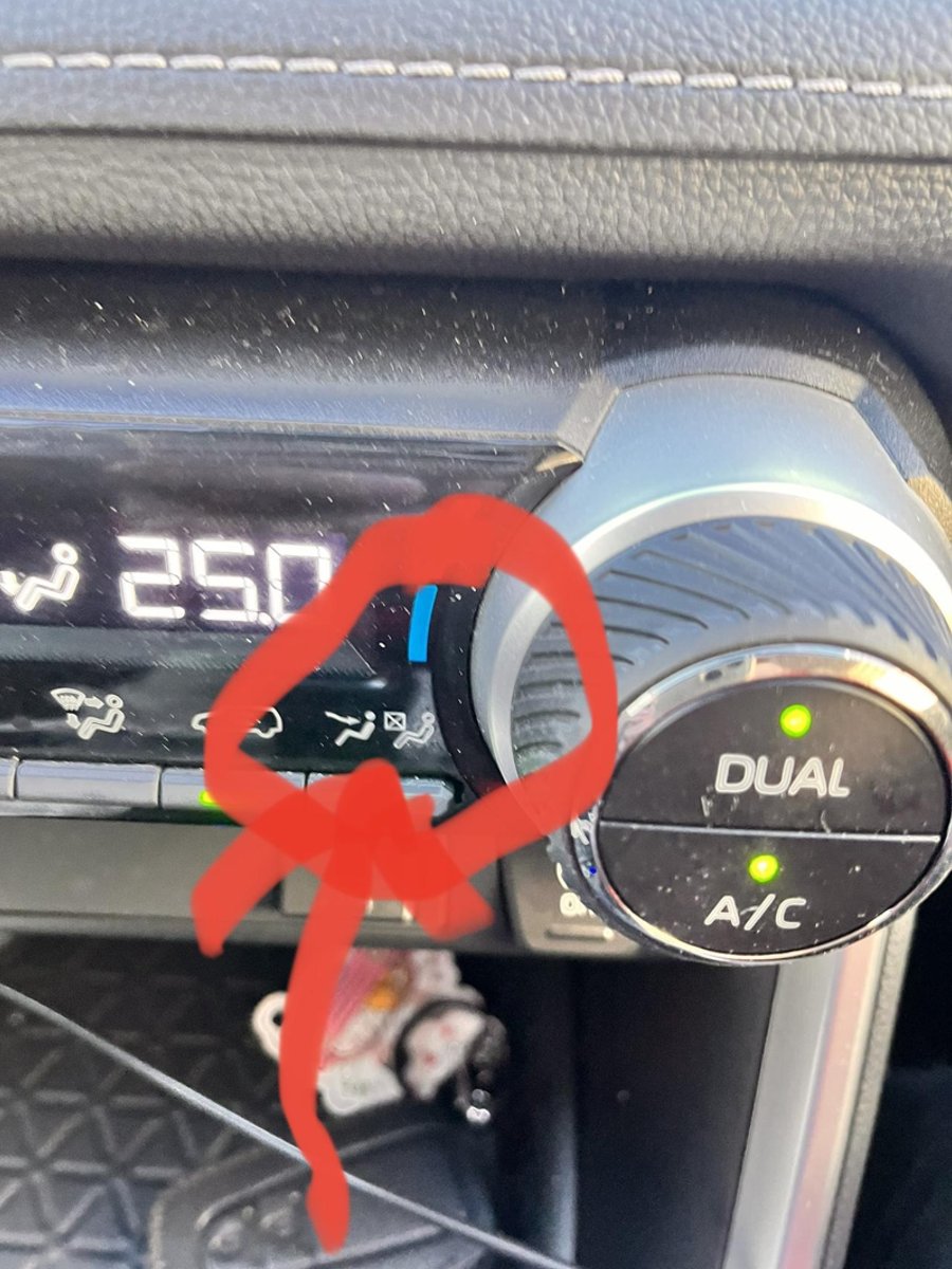 丰田RAV4荣放 哥哥们，这个是啥功能了，还有路上玻璃有霜，怎么操作空调？自己按的前窗除雾，但空调自动切换成了外循环，有